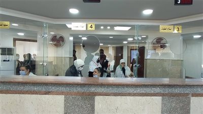 تعرف على كيفية إضافة شريك أو شركاء للمحال التجارية والصناعية بالجيزة