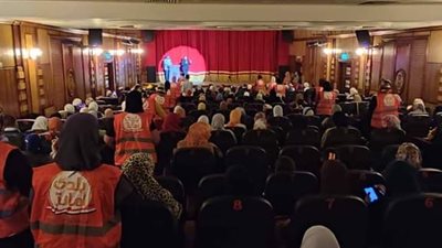 ثقافة البحيرة تحتفل باليوم العالمي لمواجهة العنف ضد المرأة