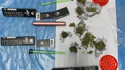 ضبط ماريجوانا وحشيش بحوزة راكب في مطار الغردقة 