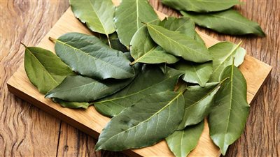 فوائد ورق الجوافة الصحية، ويحظر على هؤلاء تناوله