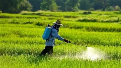 براءات الاختراع بالقومي للبحوث، إنتاج مبيدات حيوية لمكافحة الأمراض الوبائية (فيديو) 