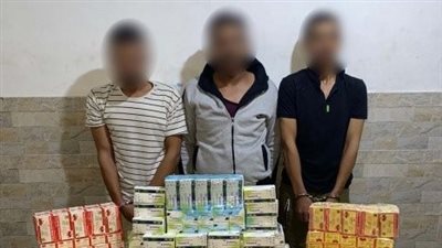 سقوط 7 عناصر إجرامية بحوزتهم حشيش وهيروين وترامادول في الجيزة والشرقية (صور)