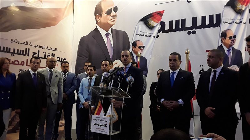 المستشار محمود فوزي،فيتو