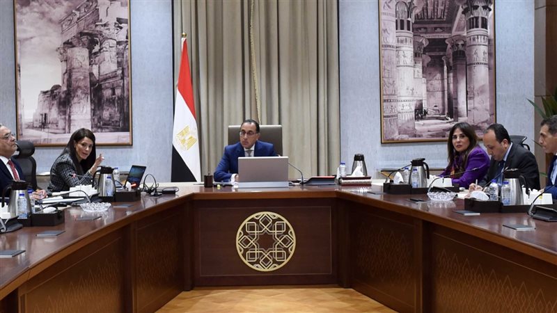 مجلس الوزراء، فيتو