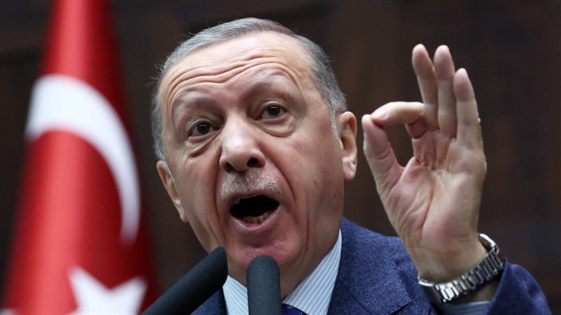 أردوغان، فيتو 