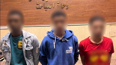 أمن القاهرة يكشف كواليس اختطاف سيدة والتعدي عليها بالضرب في عين شمس