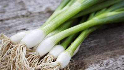 فوائد البصل الأخضر، لصحة البشرة والحماية من السرطان