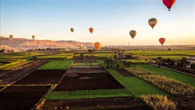 58 رحلة بالون طائر تحلق في سماء الأقصر