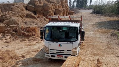 للحد من السحابة السوداء، جمع 2.6 مليون طن قش أرز بعد انتهاء موسم الحصاد