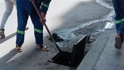 تطهير 269 مطبقا و65 شنيشة بحي العجمي واستخراج 58 كارنيه خدمات (صور)