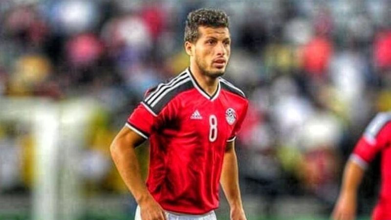 طارق حامد،فيتو
