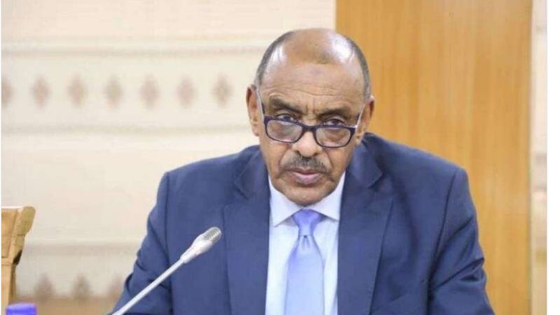 وزير الخارجية السوداني،