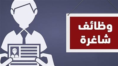 خطوات الحصول على فرصة عمل.. طرق التسجيل بموقع وزارة العمل.. وتجهيز قاعدة بيانات للشباب الراغب في السفر للخارج 
