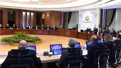 تشمل 3 بنوك مصرية.. خطة لطرح الأصول الحكومية لتوفير العملة الصعبة.. تحركات كبيرة لوزارة المالية.. وخبراء يكشفون المكاسب