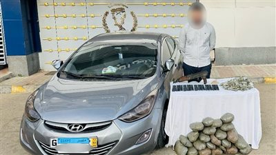 حملة أمنية بأسوان ودمياط تضبط 7 قضايا مخدرات وتنفيذ 650 حكما قضائيا 