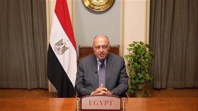 وزير الخارجية يؤكد لنظيرته الفرنسية ضرورة وقف إطلاق النار ورفض التهجير القسري للفلسطينيين