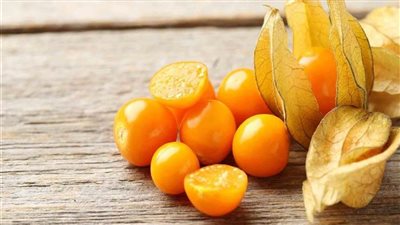 فوائد الحرنكش، يقوي المناعة ويساعد في علاج نزلات البرد والإنفلونزا 