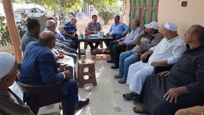 زراعة الشرقية تنظم ندوة إرشادية عن العفن الهبابي بأشجار المانجو 