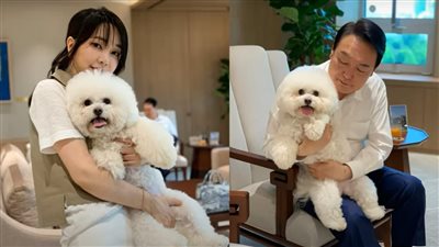 قانون لمنع أكل لحم الكلاب في كوريا الجنوبية