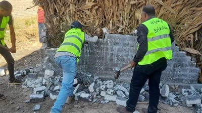 حملة مكبرة لإزالة التعديات على الأراضي الزراعية بالعامرية (صور)