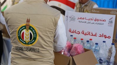 إطلاق قافلة بيت الزكاة وصندوق تحيا مصر لإغاثة غزة (صور)