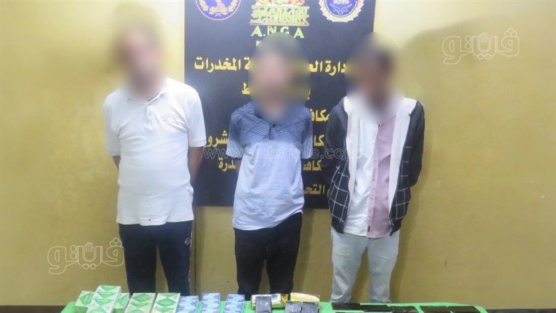ضبط متهمين، فيتو