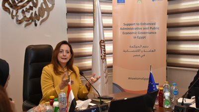 مدير القومي للحوكمة تناقش التوصيات الرئيسية لمراجعة الحوكمة العامة