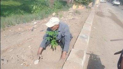 زراعة 114 شجرة مثمرة في مركزين بالمنيا ضمن مبادرة 100 مليون شجرة
