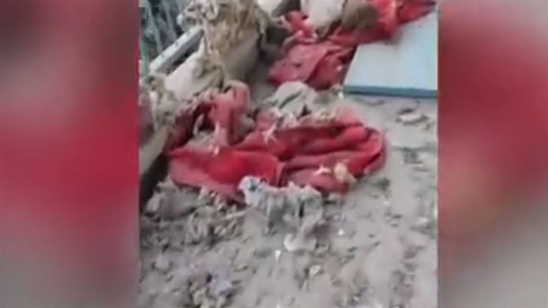 مجزرة الفاخورة، فيتو