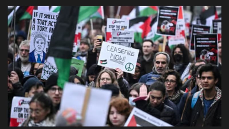 احتجاجات لدعم فلسطين،