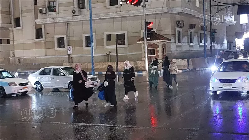 حالة الطقس غدا، فيتو