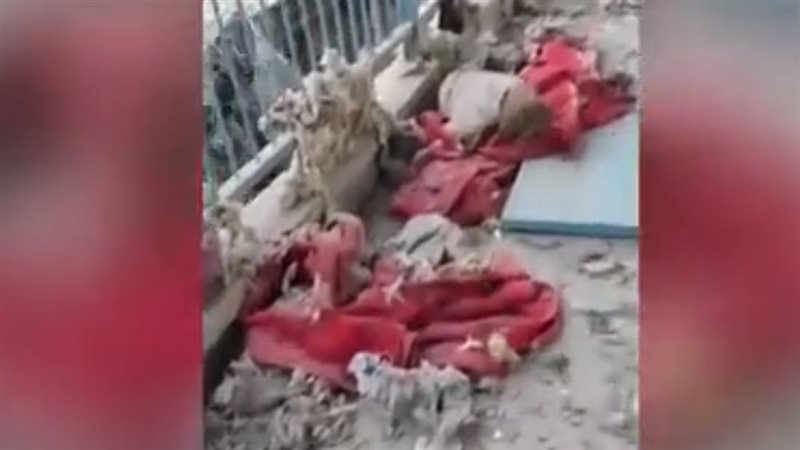 مجزرة الفاخورة، فيتو