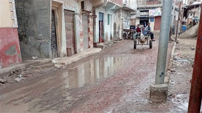 الأمطار الغزيرة تضرب مركزي أبو المطامير ورشيد بالبحيرة (فيديو وصور)