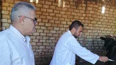 إطلاق الحملة القومية الثالثة لتحصين الثروة الحيوانية بالوادي الجديد 