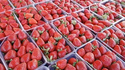 أسعار الفاكهة اليوم، سعر الفراولة يتراجع 5 جنيهات في سوق العبور