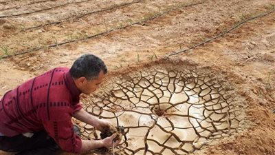 دراسة بحثية تكشف عدم جدوى طمي بحيرة ناصر لرفع خصوبة أراضي الاستصلاح، والحل في خامات الصحراء المصرية
