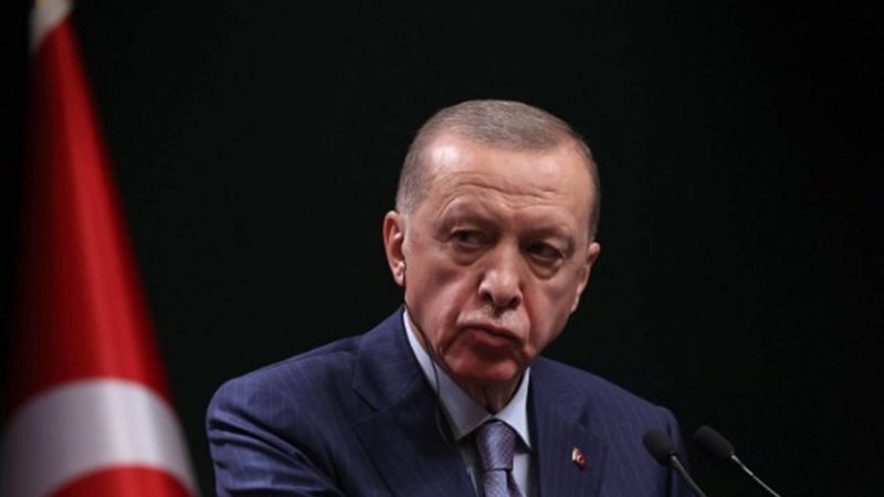 أردوغان، فيتو
