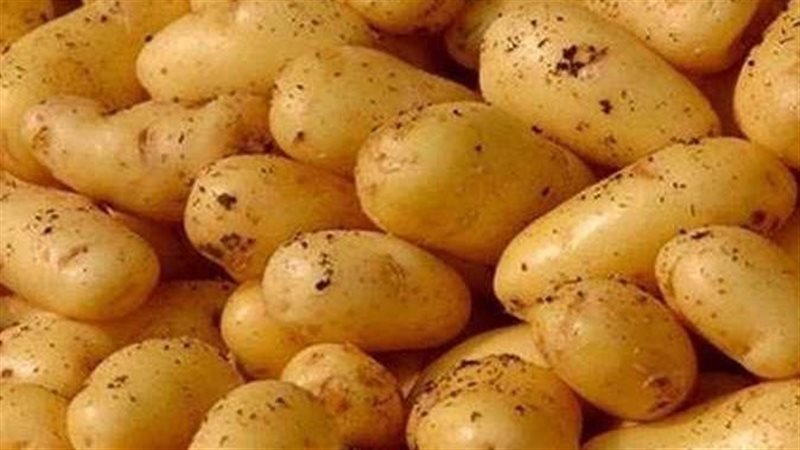 ارتفاع أسعار البطاطس