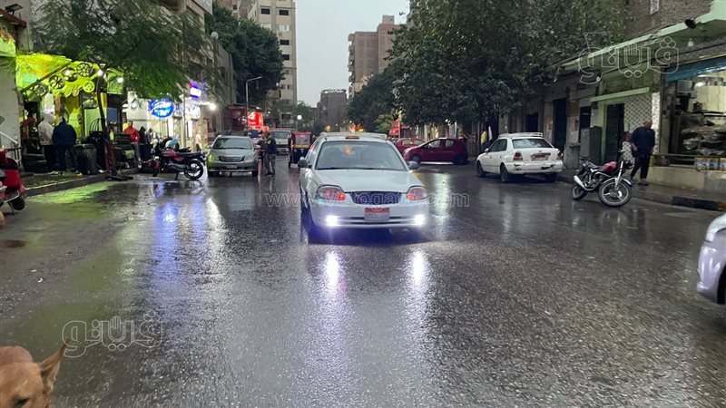 حالة الطقس غدا، فيتو