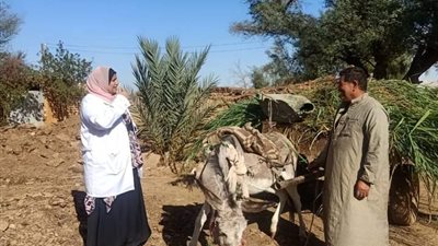 حملات توعوية لحماية وتنمية الثروة الحيوانية بالوادي الجديد (صور)