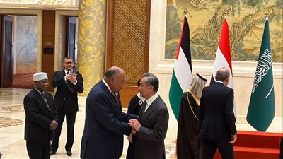 تفاصيل أول تحرك لأعضاء اللجنة الوزارية العربية الإسلامية بشأن غزة (صور)