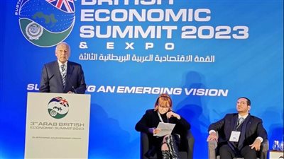 أبو الغيط: المنظومة الدولية فشلت في وقف قتل آلاف الأطفال والأبرياء في غزة 