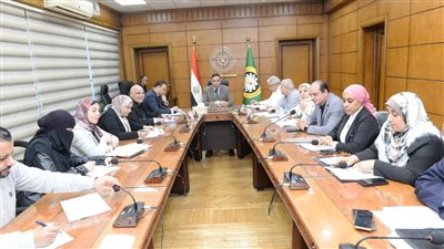 محافظ الدقهلية يتابع تنفيذ أعمال توصيل المرافق للمنطقة اللوجستية بطلخا