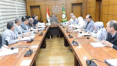 محافظ الدقهلية: الطرح الفوري لشارع الجمهورية والمشاية بالمنصورة لشركات الإعلانات في مزايدة علنية