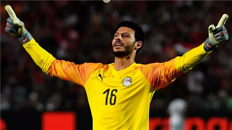محمد الشناوي، فيتو