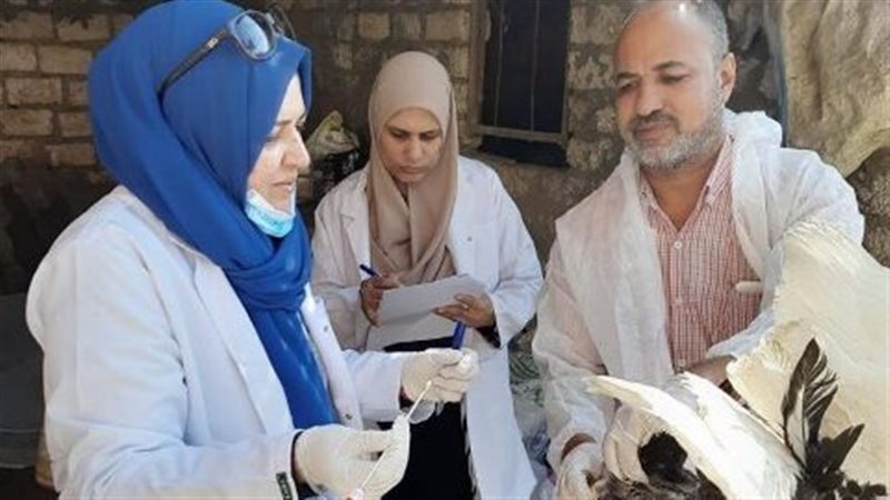 بيطري الشرقية يُحصن
