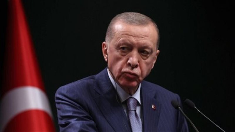 أردوغان، فيتو