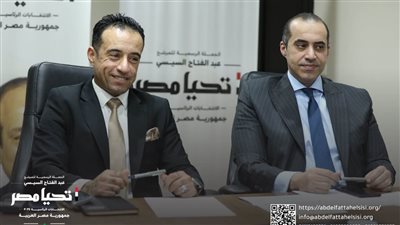 الحملة الرسمية للسيسي تواصل عقد اللقاءات مع المصريين بالخارج