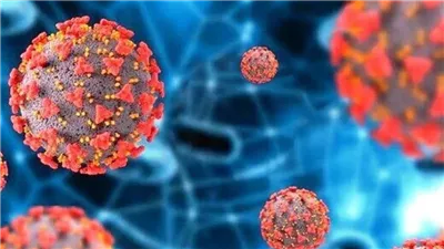 مصدر العدوى لم يُعرف بعد، بريطانيا ترصد أول إصابة بشرية بفيروس مجهول