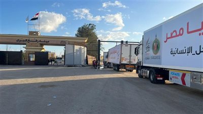 بتوجيهات شيخ الأزهر، 40 شاحنة لبيت الزكاة تعبر ميناء رفح دعمًا لأهلنا في غزة (صور)